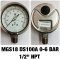 Pressure Gauge Nuova Fima